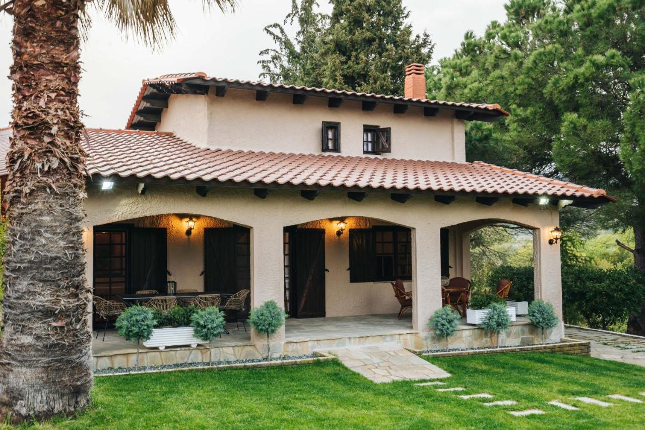 הוילה Agios Andreas  The Tree House מראה חיצוני תמונה