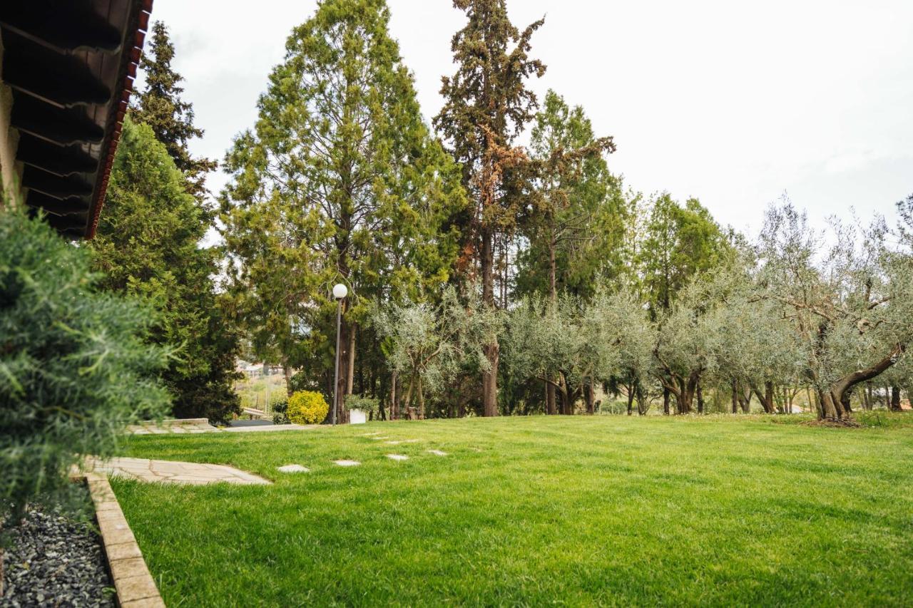הוילה Agios Andreas  The Tree House מראה חיצוני תמונה